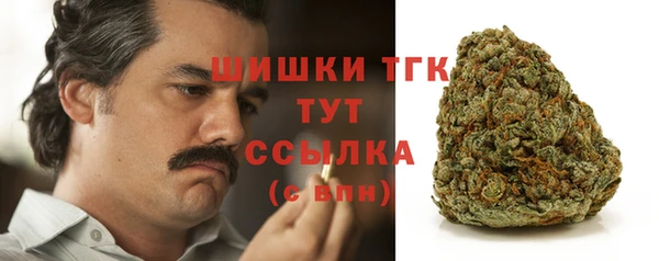 соль курить ск Белокуриха