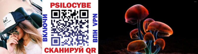 Псилоцибиновые грибы ЛСД  что такое   Владивосток 